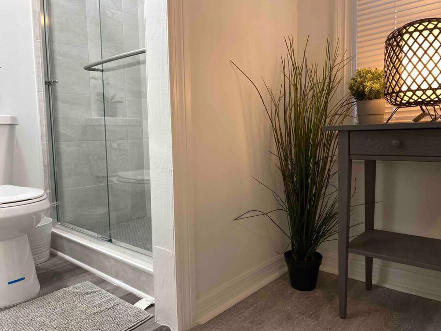 Chic Bungalow Apartment Steps From Armature Works & Downtown Riverwalk Tampa Kültér fotó